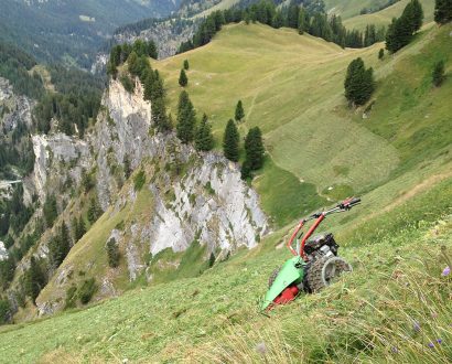 Bewirtschaftung Bergwiese Oberberg Avers MD